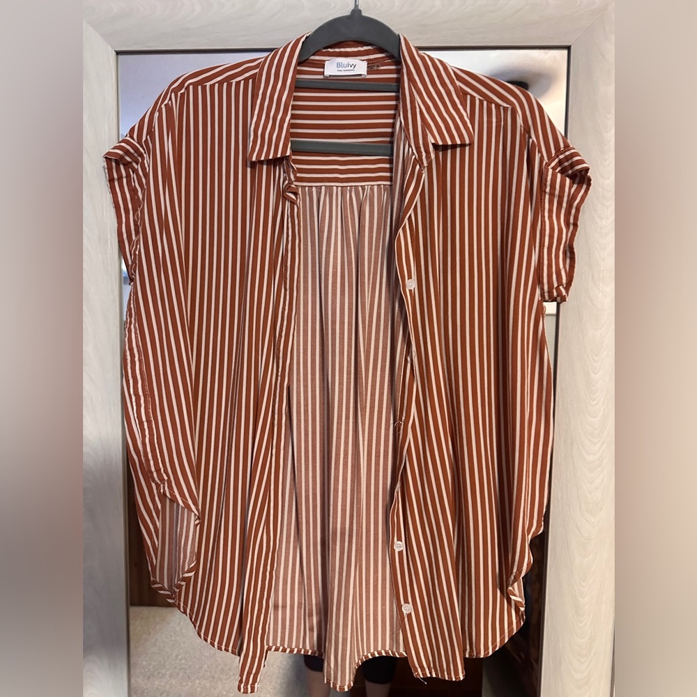Bluivy Rust Striped Men's Casual Shirt